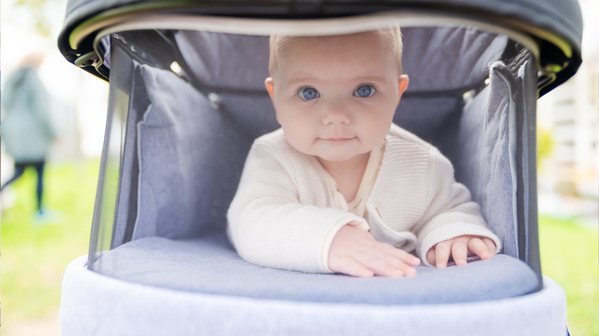 Beqooni Kinderwagen Individuell 1